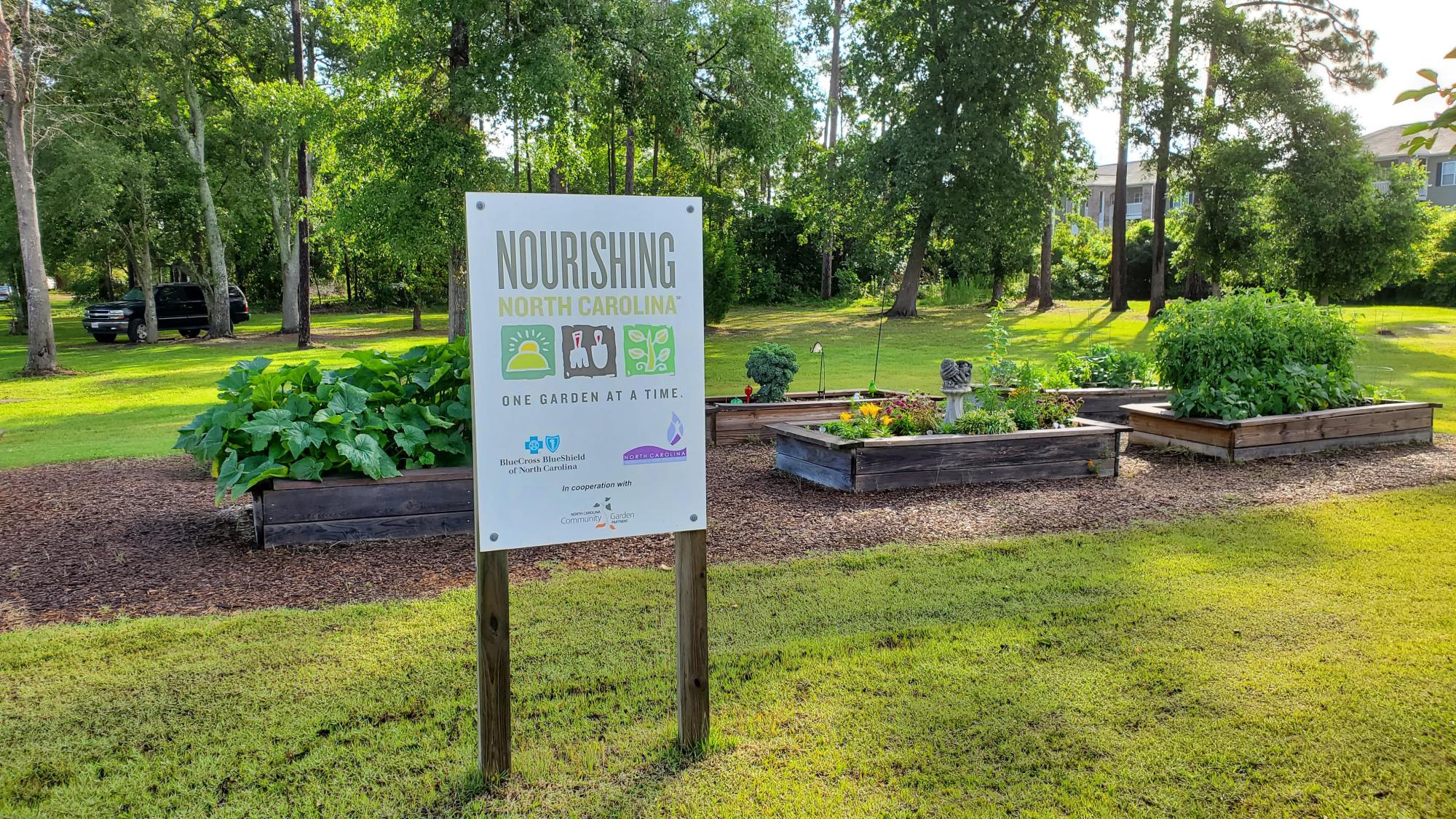 Raised beds in a community garden