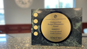 Distinguished budget award