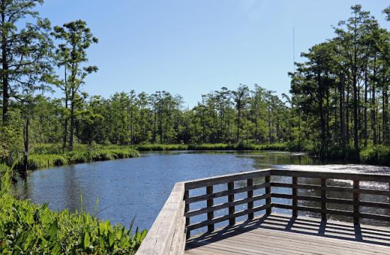 Dock overlooking water