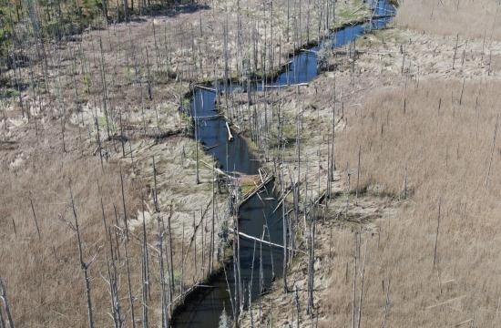 Jackey's Creek