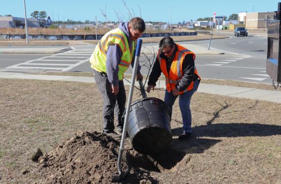 Town Employees Planting Trees