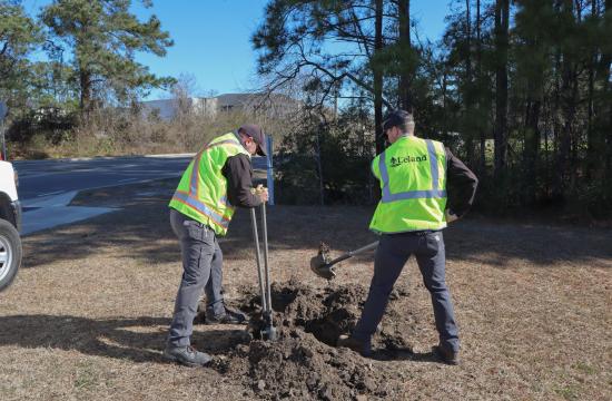Leland Streets and Grounds Planting a Tree