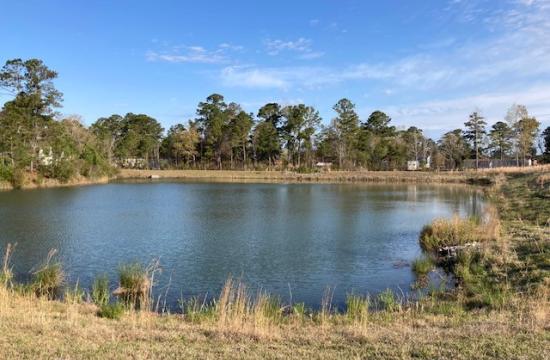 Retention Pond