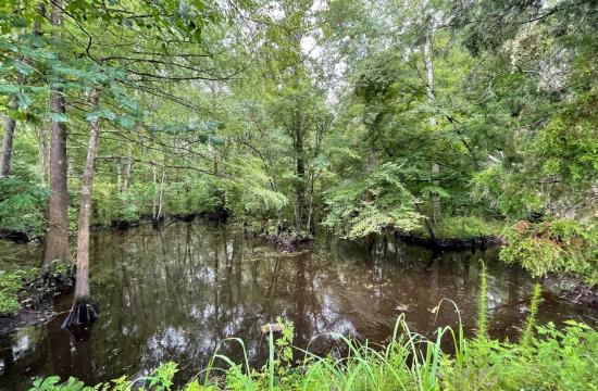 North Carolina Emergency Watershed Program (EWP)