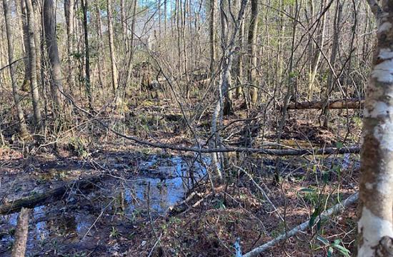Stream Blockage