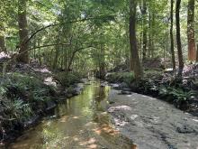Jackeys Creek-Stream Segment