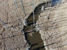 Jackeys Creek Debris
