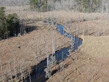 Jackeys Creek Section