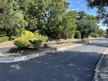 Grandiflora Drive