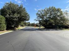 Grandiflora Drive