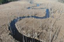 Jackeys Creek Section