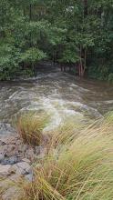 Low Country Boulevard Culvert