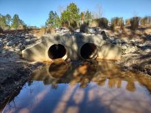 Low Country Boulevard Culvert