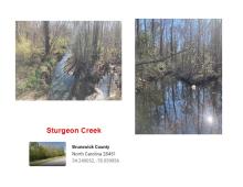 Sturgeon Creek