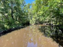 Sturgeon Creek Cleanup