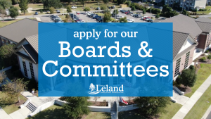 Board or Committees