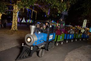 Celebrate the Magic of the Holidays in Leland