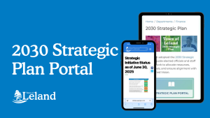 2030 Strategic Plan Portal