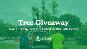 Tree Giveaway