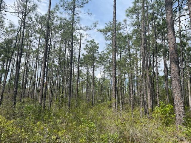 Town of Leland Announces Progress toward First Nature Preserve, 1,000 Acres Combined