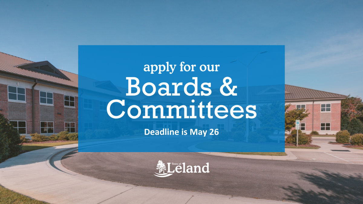 Board and Committee Opening