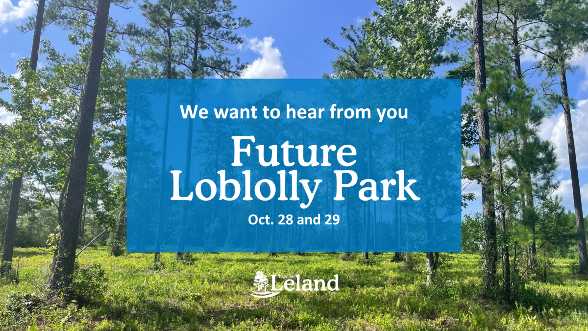 Future Loblolly Park