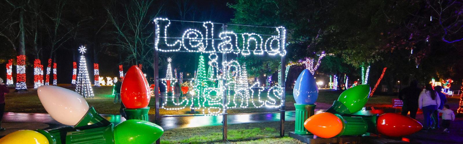Leland in Lights