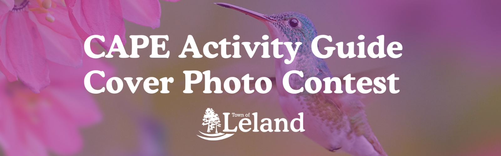 Cape Activity Guide Cover Contest 