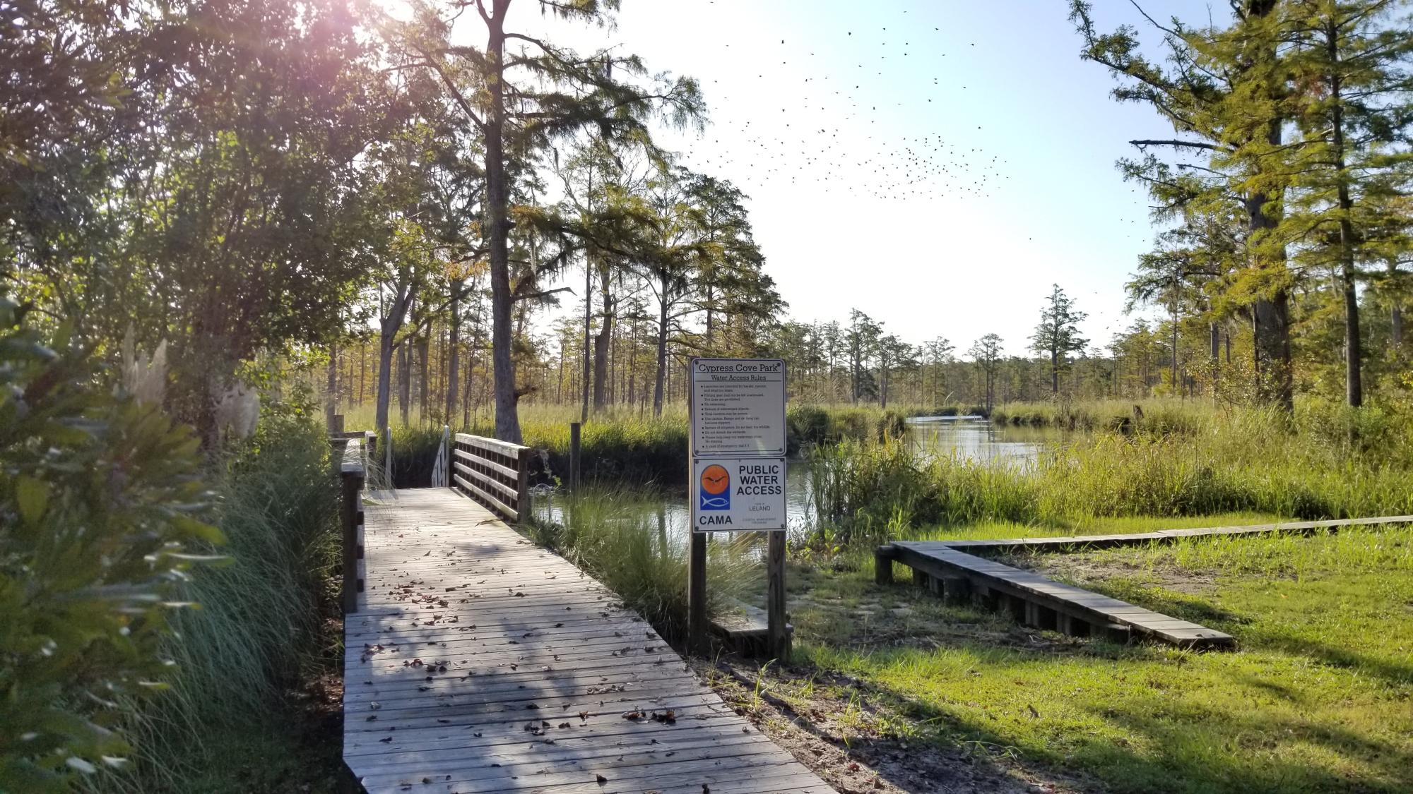 Dock overlooking the water at Cypress Cove on a sunny day