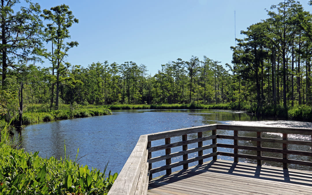 cypress cove park