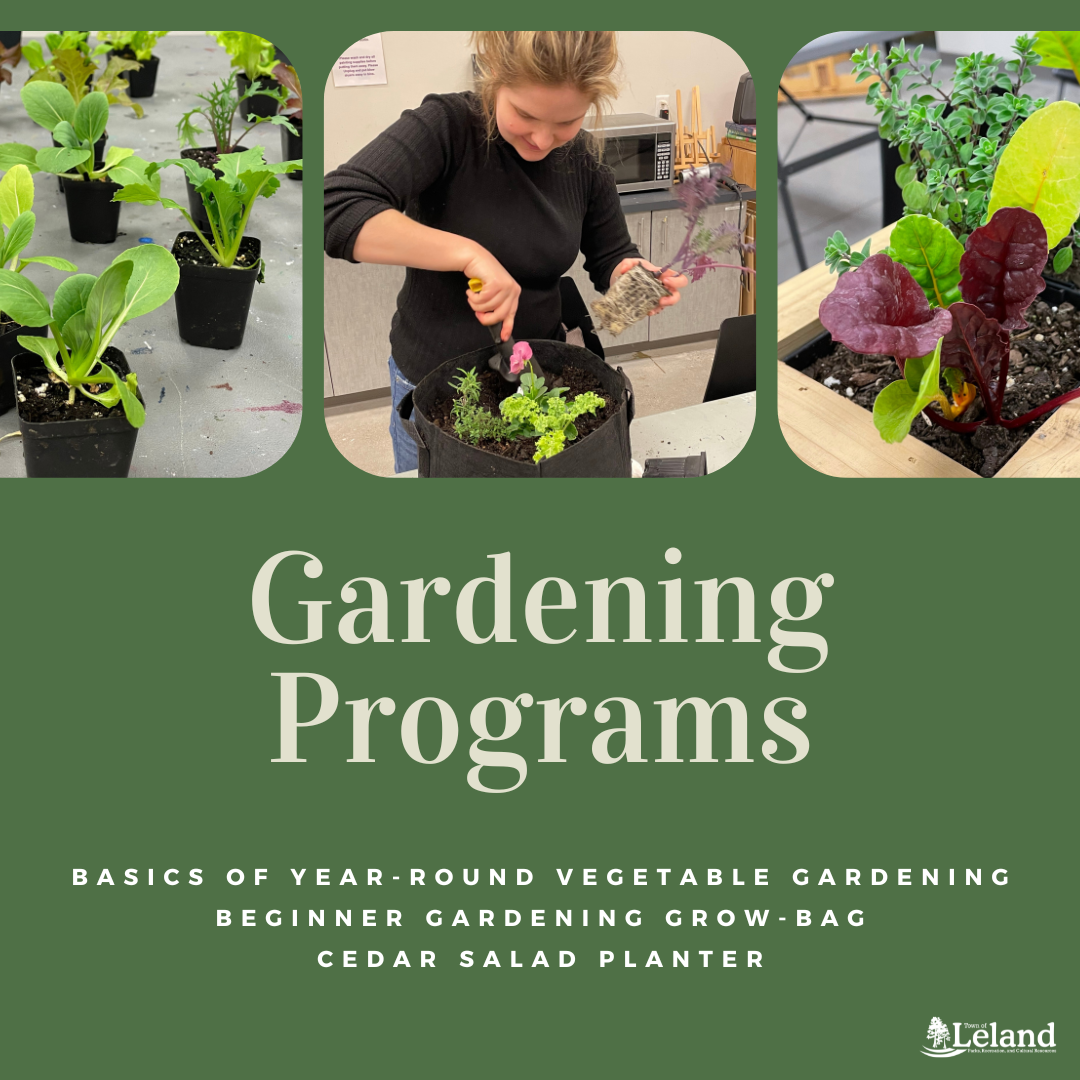 Graphic for Gardening Programs