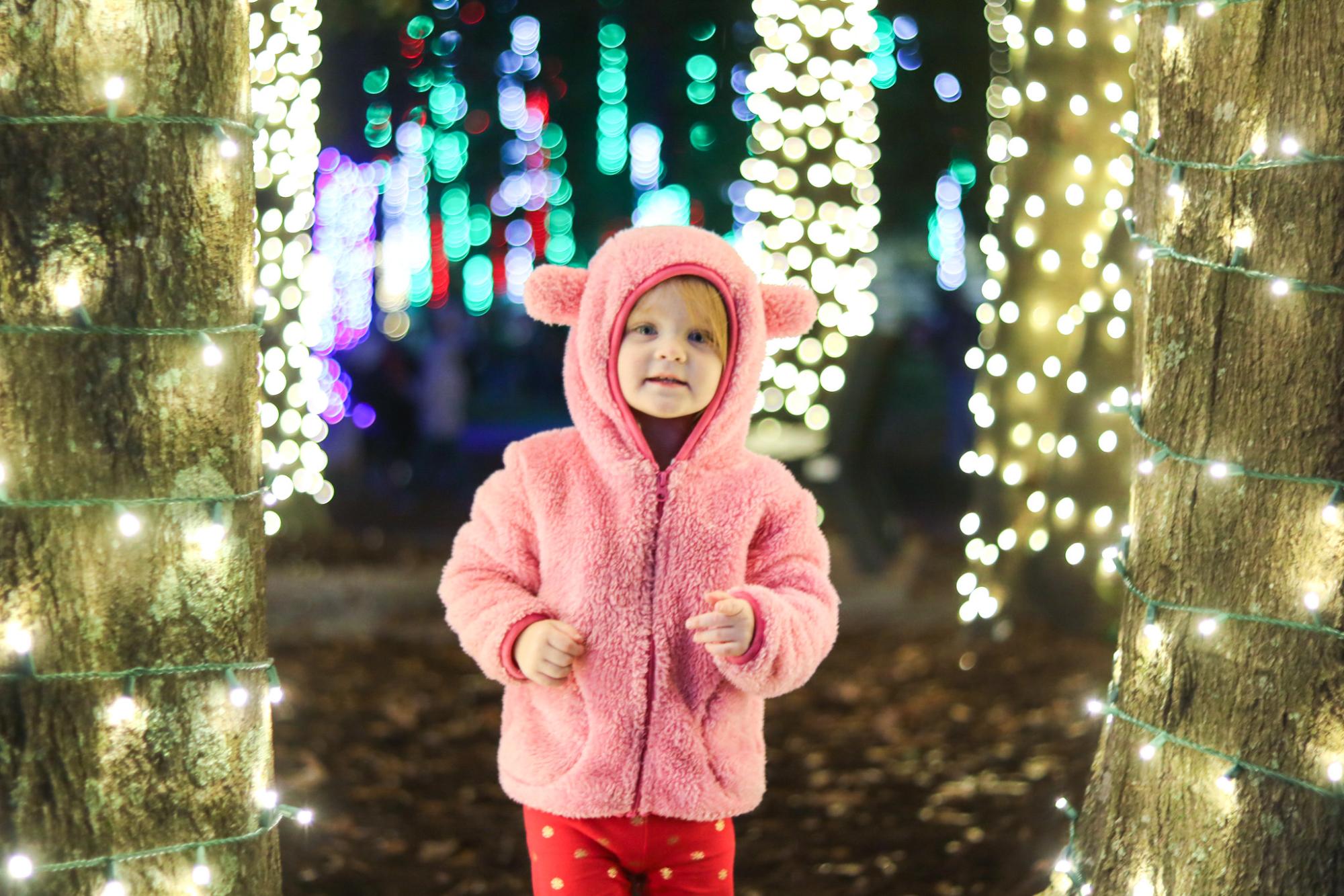 Small child looking at holiday lights