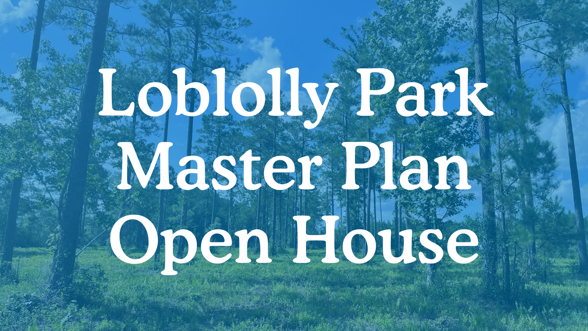 Loblolly Park Master Plan Open House