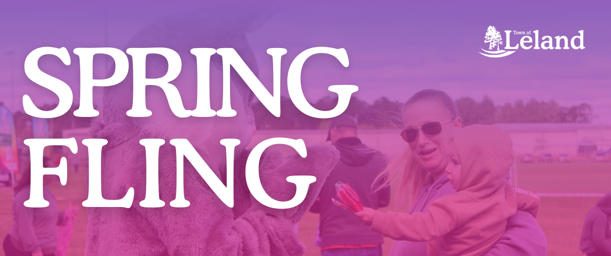 Spring Fling Banner