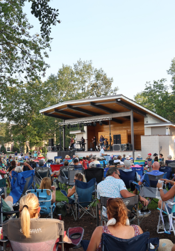 people at a concert