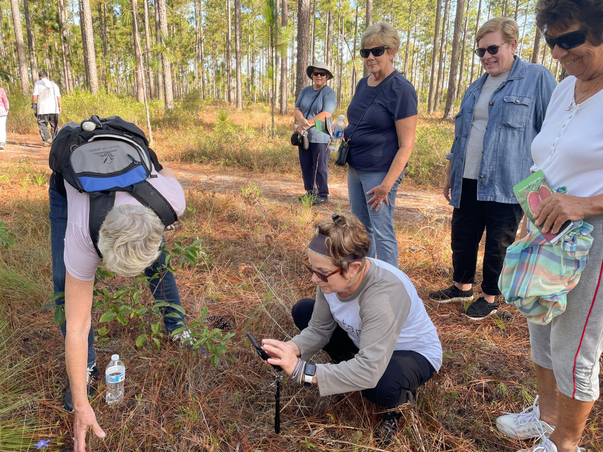 green swamp hike